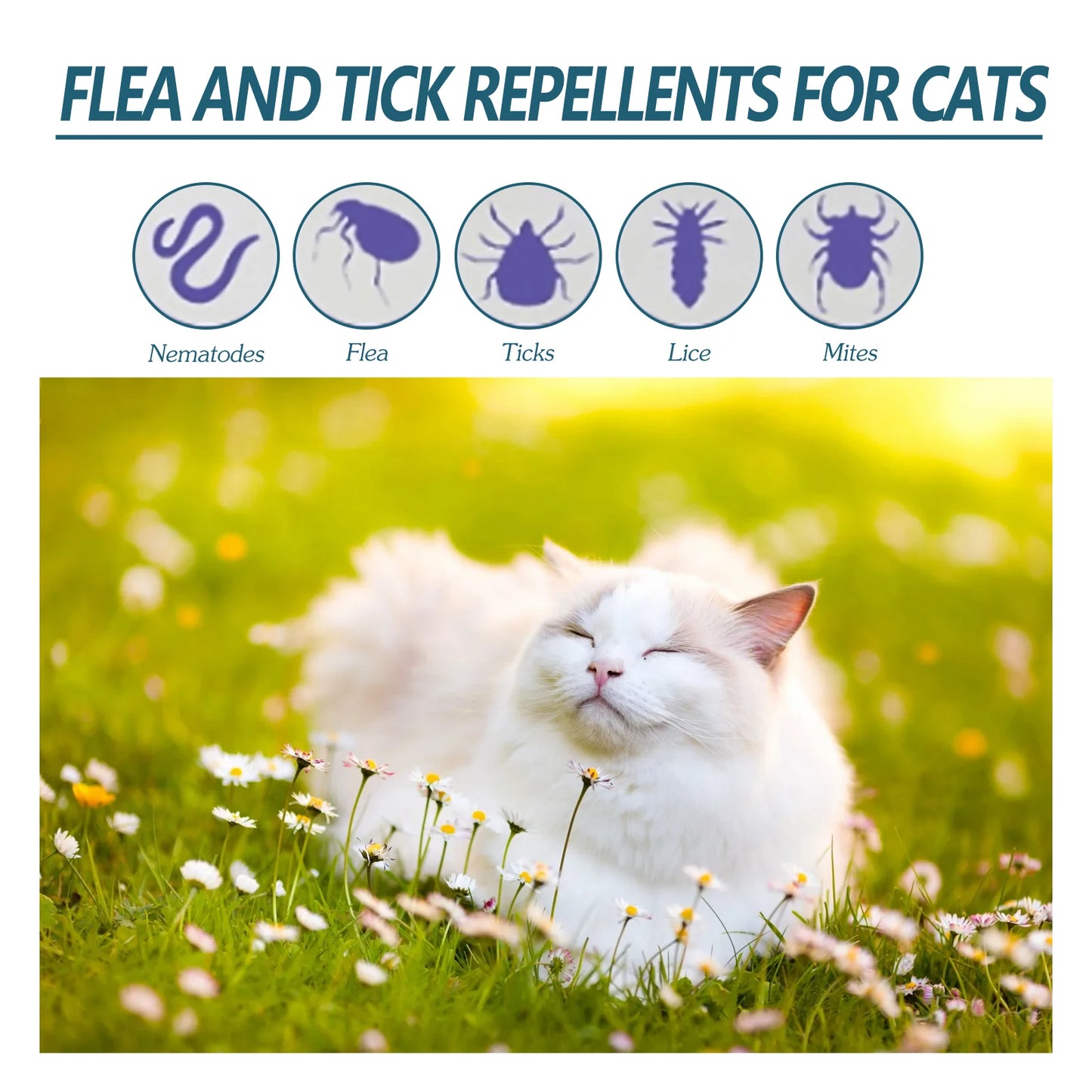 50ML Pet Anti-flea Tick Drops for Cats and Dogs Natural Formula Skin Cleaning Fast-acting Protection Deworming for Pet Care