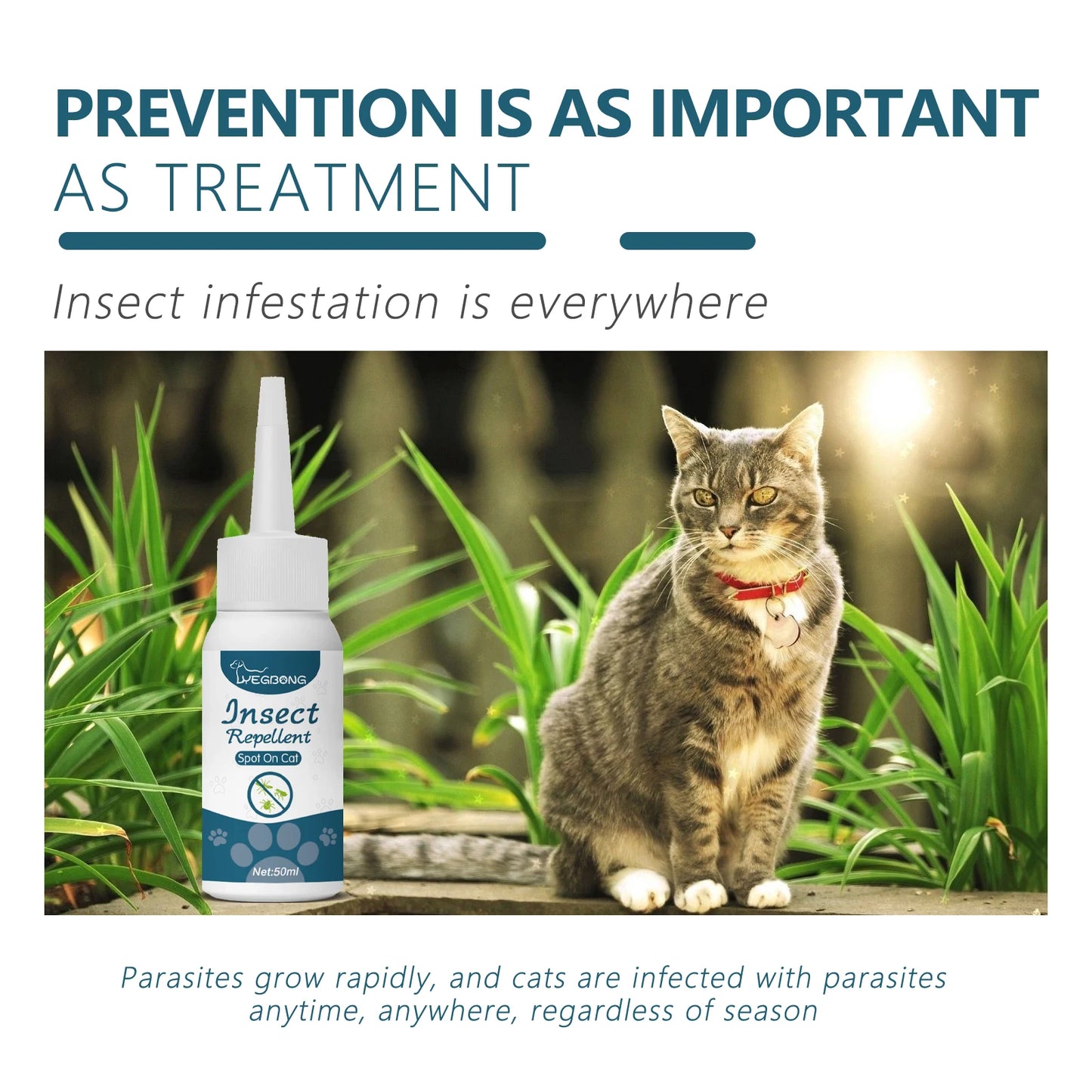50ML Pet Anti-flea Tick Drops for Cats and Dogs Natural Formula Skin Cleaning Fast-acting Protection Deworming for Pet Care