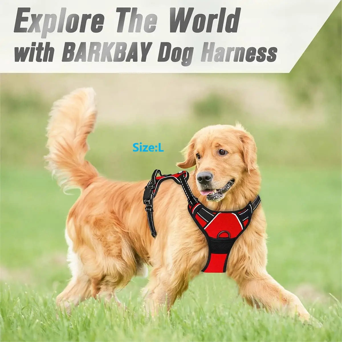 Adjustable No Pull Dog Harness Front Clip Reflective Comfortable Handle for Medium to Large Dogs Walking