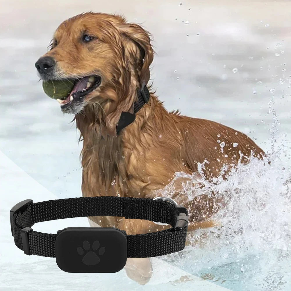 Pet GPS Tracker with Adjustable Collar Dog Tracker Smart Pet Locator Cat Tracker for Dogs and Cats