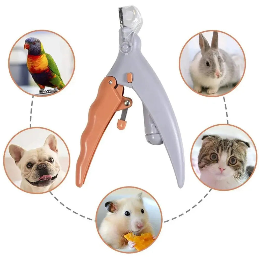 Professional Pet Nail Clipper Scissors With LED Light Cat Dog Nail Clipper Tool Scissors Nail Toeclaw Cutter Scissors Pet Supply